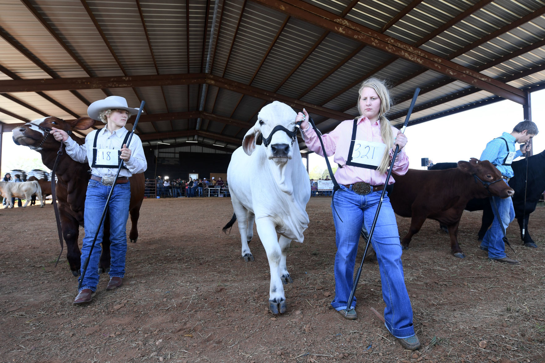 BTHO Coronavirus show